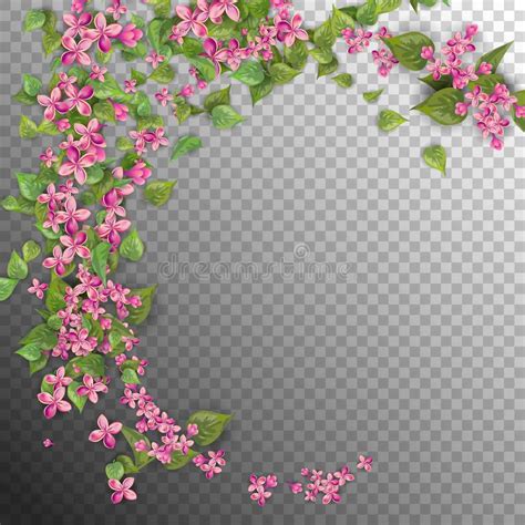 Pink Flying Flowers Stock Vector Illustration Of Detail 112741890
