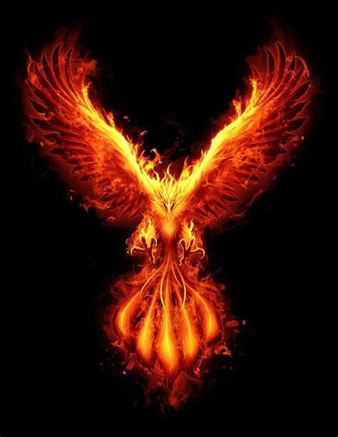 Burning Phoenix Phoenix Tattoo Phoenix Bird Art Phoenix Artwork