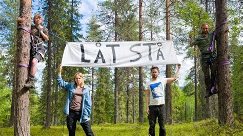 Aktivister Tillbaka I Omstridd Skog • Den Sista Skogen Ska Inte Avverkas