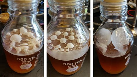 From asahi and hoegaarden to craft beers, these brands are all competing for the title of best beer in singapore! Sour Beer's Influence on Microbiology and Possible Future ...