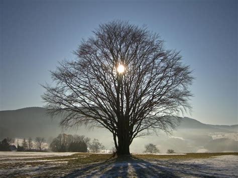 It happens twice yearly, once in each hemisphere (northern and southern). What and When is Winter Solstice?