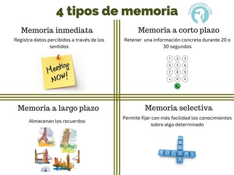 La Atención Y Los 4 Tipos De Memoria Memoria Memoria Selectiva