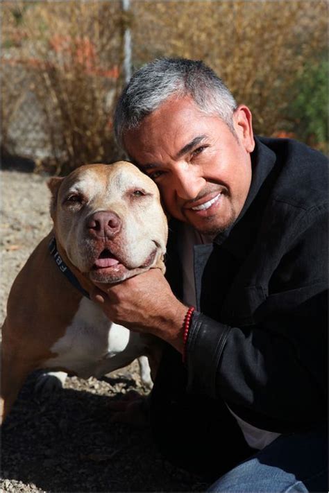 The Legend Himself Cesar Millan And His Pitbull Daddy The Dog