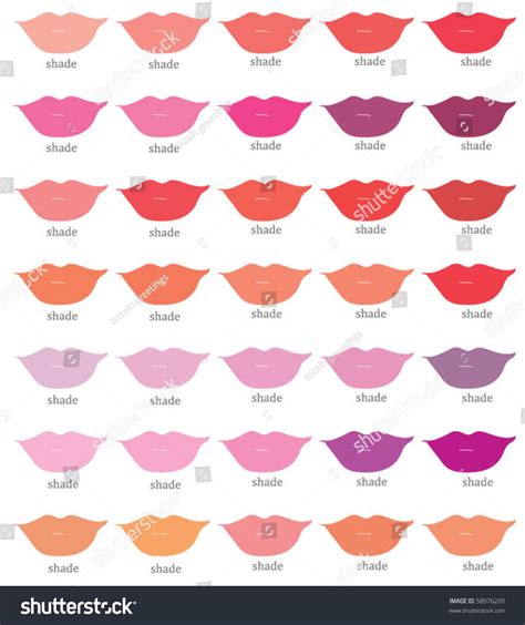 Lipstick Shade Card Stock Vector Illustration 58976209 Shutterstock