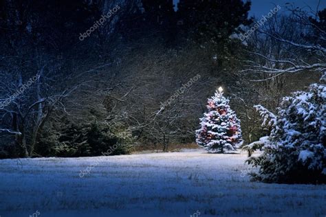 Magical Light Illuminates Snow Covered Christmas Tree — Stock Photo