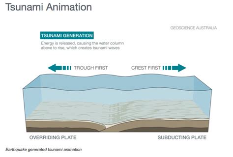 This diagram shows how tsunami wave information in the deep ocean is transmitted from dart systems via satellite to. Causes of tsunami - GEOGRAPHY MYP/GCSE/DP