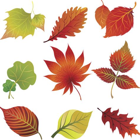 All of the leaf clipart resources are in png format with transparent background. Fall leaves clip art vector | Vector Graphics Blog