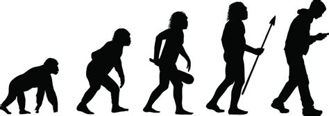 Evolution Clip Art Vector Images And Illustrations Clipart Best