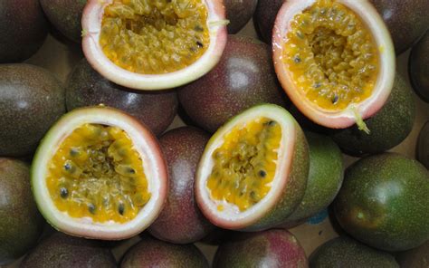 best exotic fruits of the dominican republic to try in [year] 2022