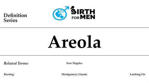 Areola Definition Birthformen