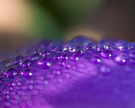 31 Beautiful Water Droplets
