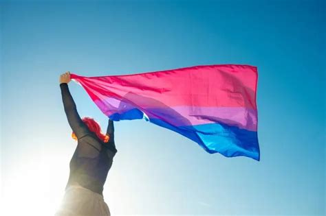 23 de setembro dia da visibilidade bissexual