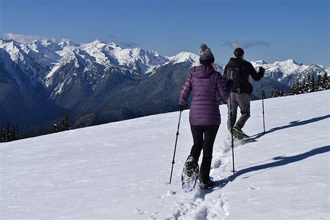 2023 Hurricane Ridge Guided Snowshoe Tour In Olympic National Park