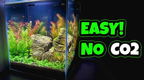 Aquascape Without Co2 Youtube