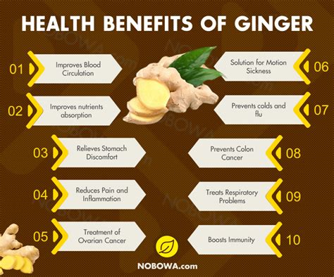 The 11 Amazing Ginger Health Benefits And Nutrition Facts