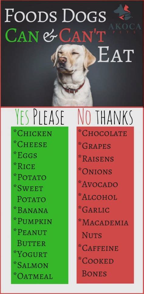 Human Foods Dogs Can Eat Chart