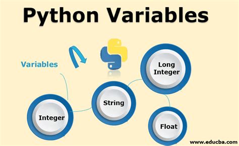 Python Variables Learn Top 4 Useful Types Of Python Variables