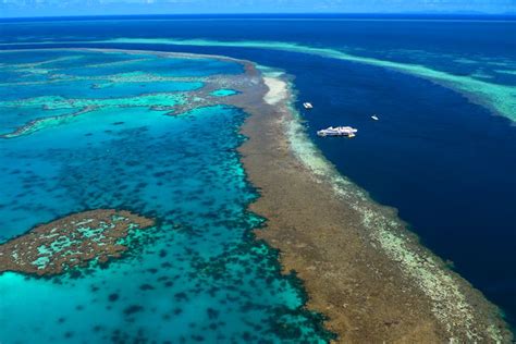 Hardy Reef In The Whitsundays Is One Of The Spectacular Outer Reefs