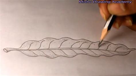 How To Draw A Mango Leaf Step By Step Easyleaf Drawing Youtube