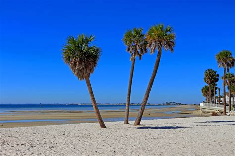 Ben T. Davis Beach holiday rentals, FL, USA: holiday houses & more | Vrbo