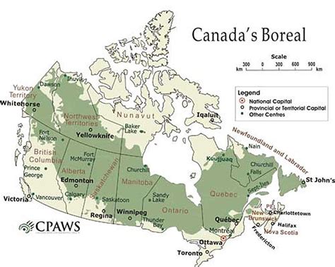 Forest Ontario Canada Map The Boreal Forest Stretches
