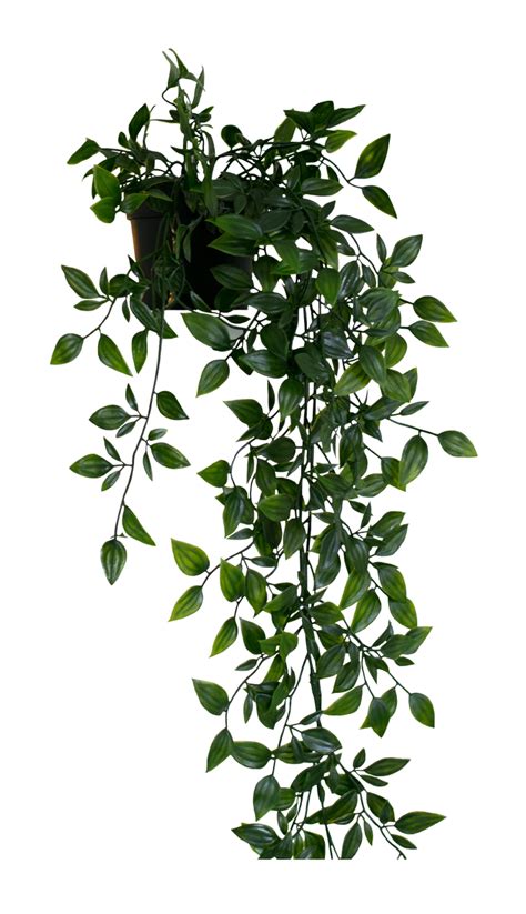 Hanging Plant Clipart Transparent Background ~ Alienware Png Logo