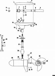 24 Volt Trolling Motor Plug Wiring Diagram