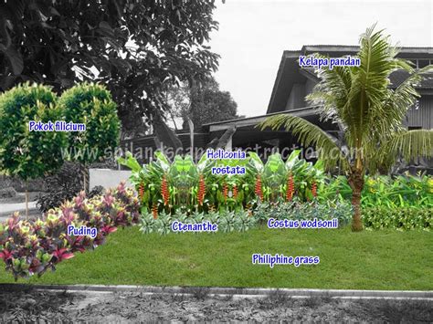 Ia digunakan sebagai pewangi makanan seperti air sirap, dan dalam upacara tertentu seperti sebagai bunga rampai dalam istiadat perkahwinan melayu. Before and after : taman ala-ala kampung | Landscape ...