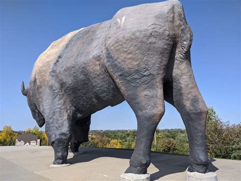 Quirky Attraction The Worlds Largest Buffalo Monument In Jamestown
