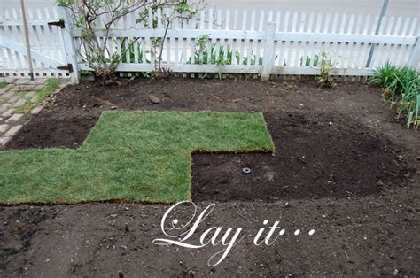 A rototiller, which you can rent step 4: How to Lay Sod | The Art of Doing StuffThe Art of Doing Stuff
