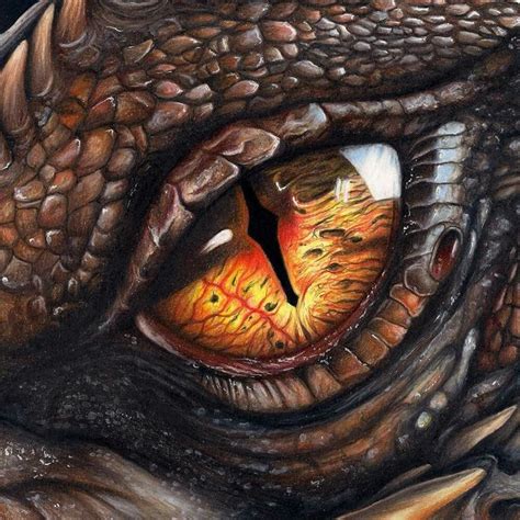 Dragões Poderiam Existir Na Vida Real Bbc News Brasil Dragon Eye