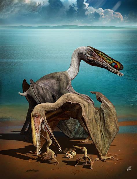 Scientists Just Discovered The Mother Lode Of Pterosaur Eggs And They Are Over The Moon The