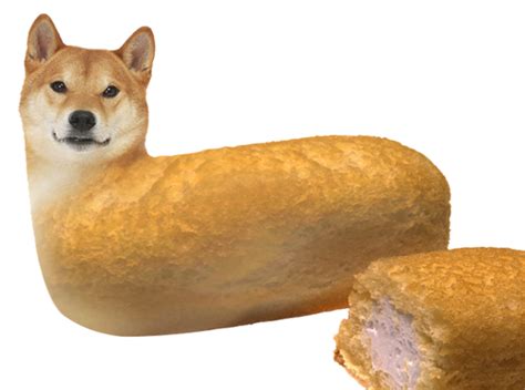 A subreddit for sharing, discussing, hoarding and wow'ing about dogecoins. Image - 605001 | Doge | Know Your Meme