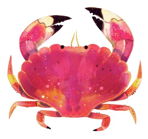 ʕ •́؈•̀ ₎ Crab Painting Crab Illustration Animal Illustration