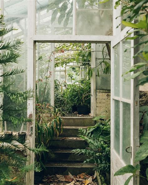 25 Lush Secret Gardens Glasshouses And Greenhouses Plant Aesthetic