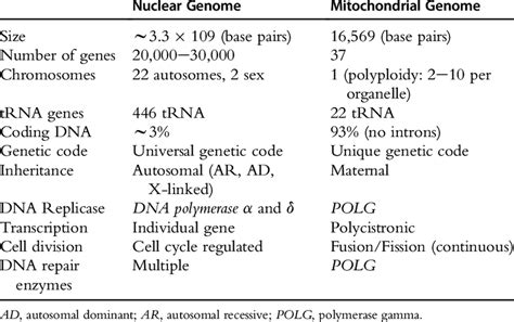 differences in human nuclear and mitochondrial genomes download table