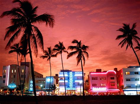 Hd Wallpaper Miami Street Neon Lights Palm Trees Urban Purple Sky