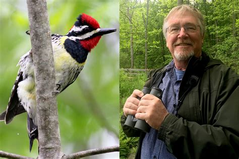 Preparing For Spring Birding Ask An Ornithologist Bird Academy • The
