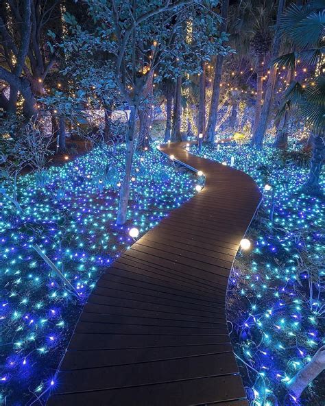 A Fairytale Forest In Kanagawa Japan Rbeamazed