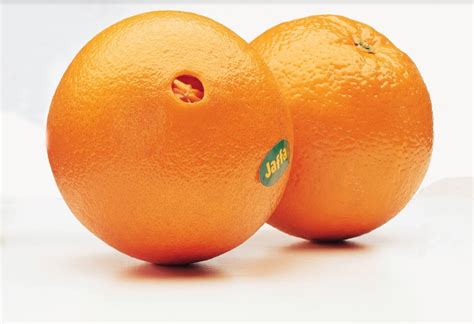 Orange Navel Ksc International Trade