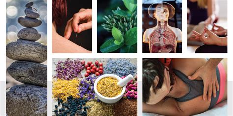 complementary and alternative medicine use and public attitudes 1997 2006 and 2016 fraser