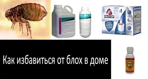 Отрава для клопов и тараканов. Дезинсекция клопов в квартире. Средства для избавления от клопов. Самые лучшие средства для клопов. Как вывести блох в квартире.