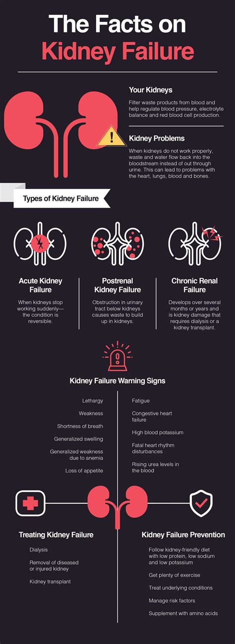 Kidney Failure How It Happens And What You Can Do To Prevent It The