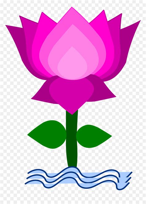 Clip Art Of Lotus Flower Clipart Image Of Lotus Flower Hd Png