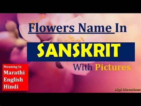 Flowers are an integral part of tamil culture. Flowers Name In Marathi With Pictures | Best Flower Site