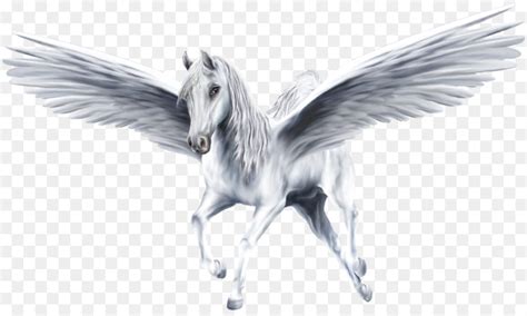Pegasus Unicorn Bersayap Kuda Gambar Png