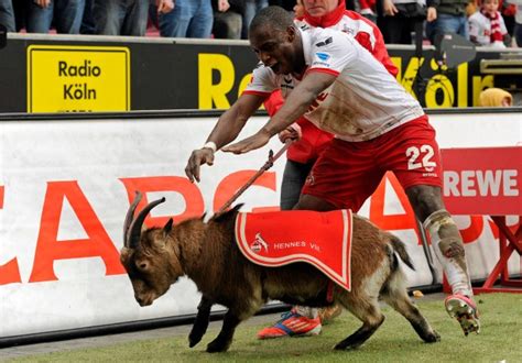 Ujah statt geißbock nun känguru! Bilderstrecke zu: Zweite Fußball-Bundesliga: Der Geißbock ...
