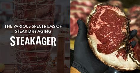understanding the various phases of steak dry aging steakager