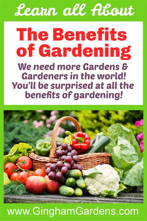 The Benefits Of Gardening A Home Gardeners Perspective Gingham