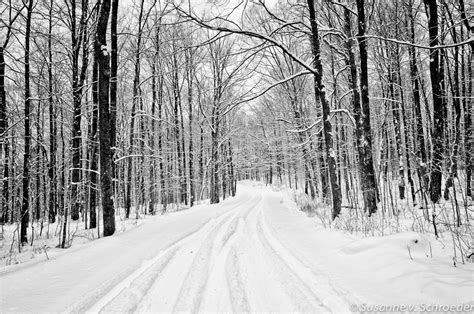 Soul Centered Photography Black And White Winter Photography